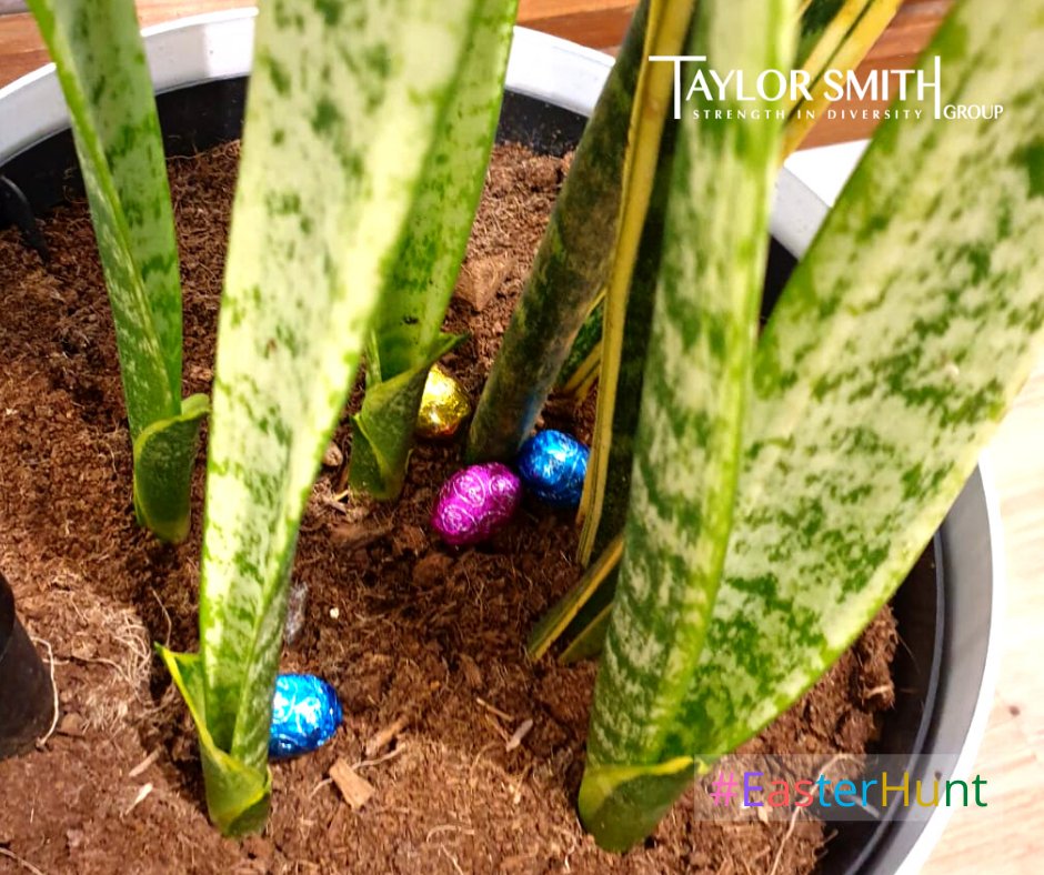 Easter Egg Hunt 2026