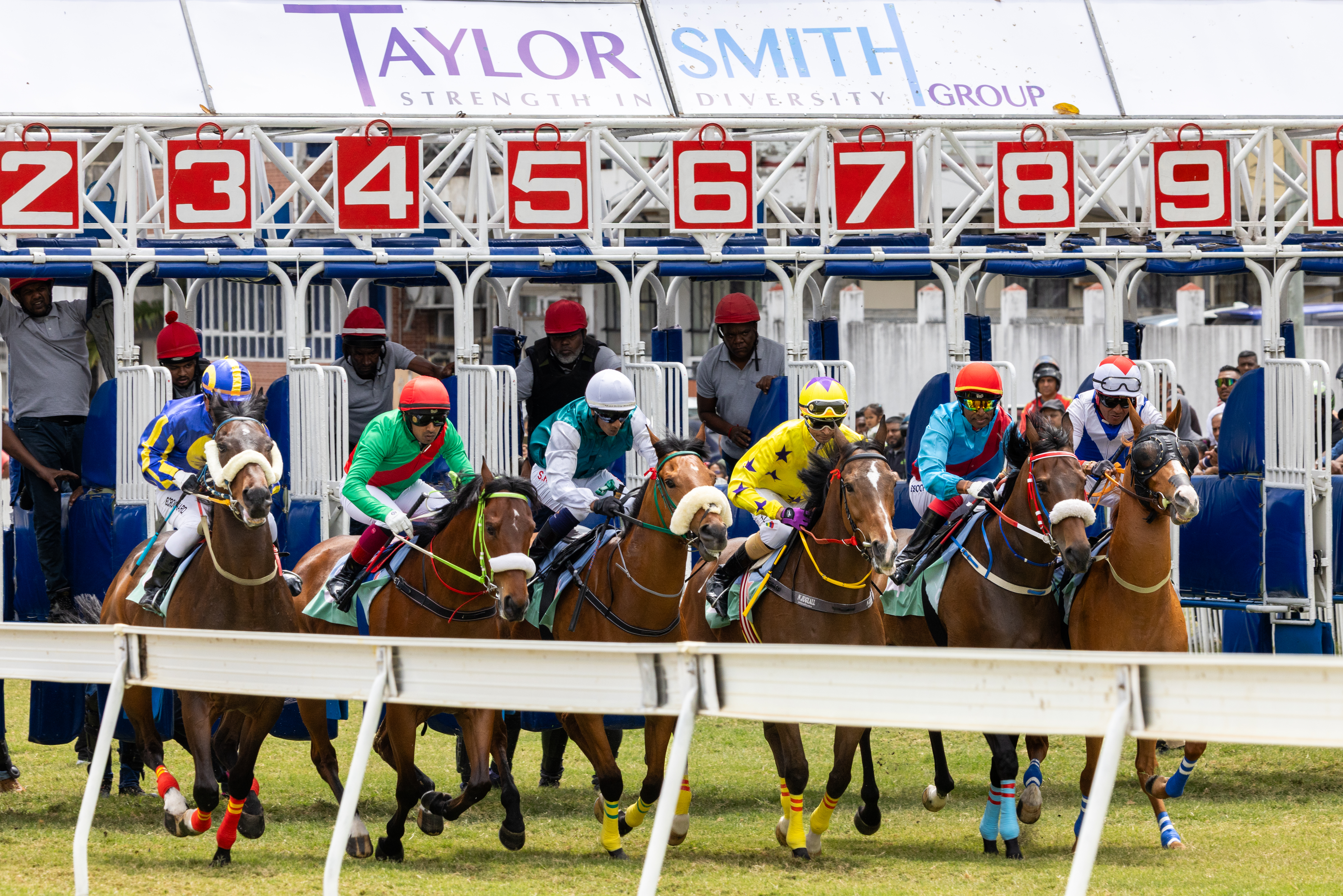 TSG Horseracing dAY 2026