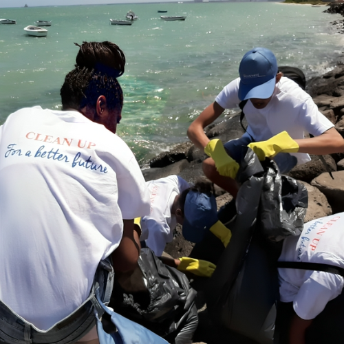 Protection of the environment